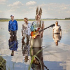 A la Malmi: Tinyhawk & Bizarro