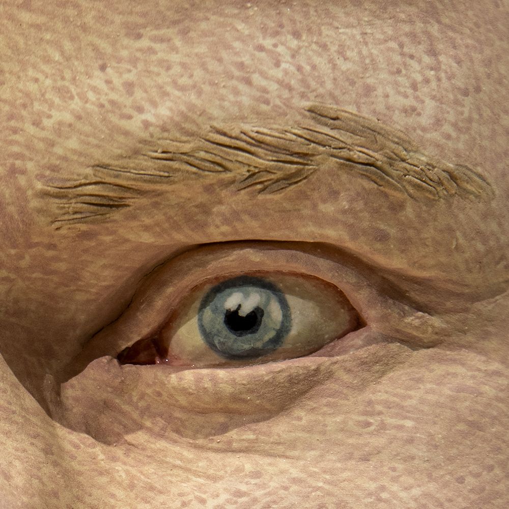 BIOLOGISIA  Ó  ILMIÃITÃ â Jenny ja Antti Wihurin rahaston kokoelmasta