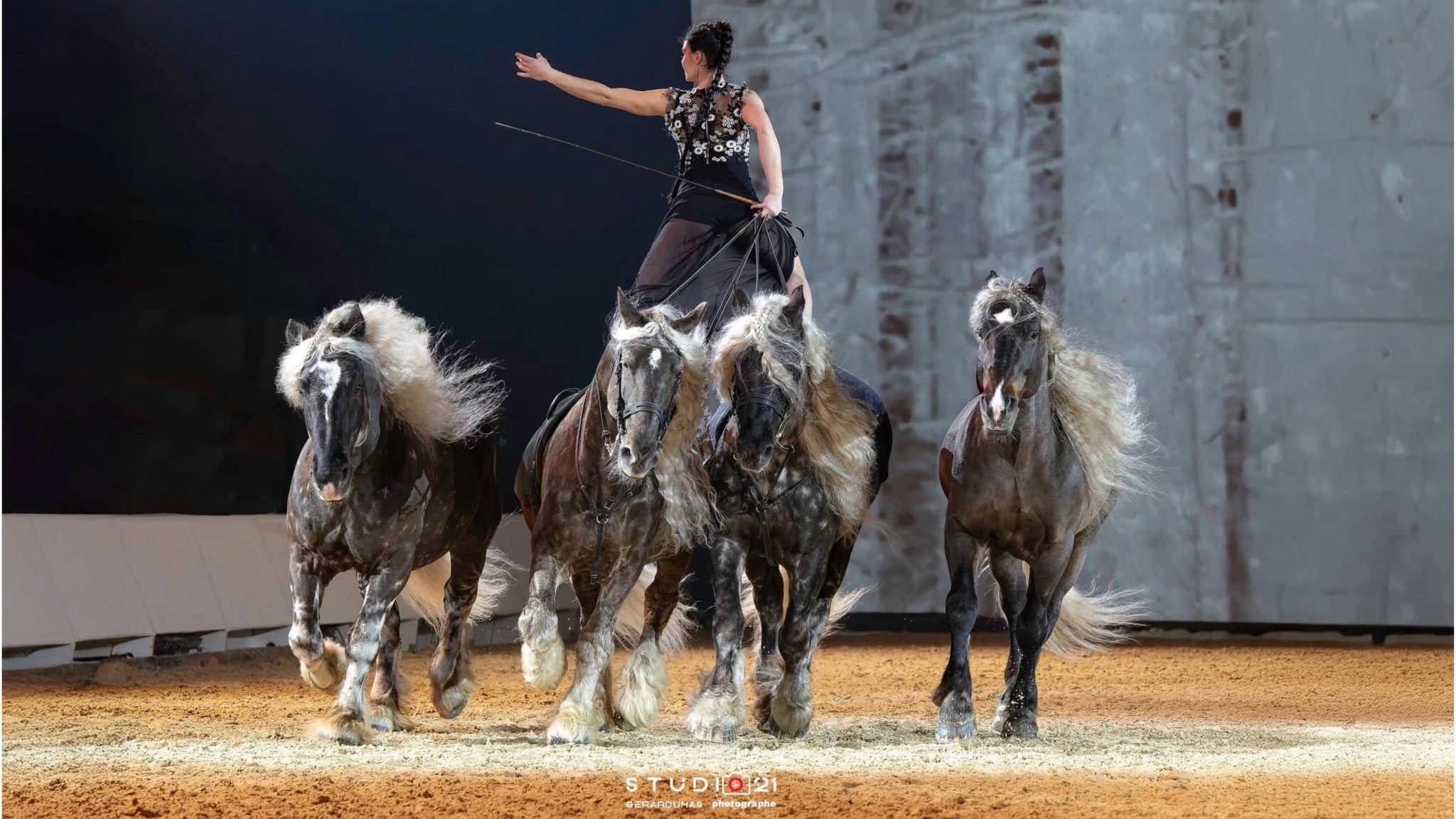 PFERD BODENSEE 2026 | Gala-Abend: "Im Takt der Pferde" - Samstag