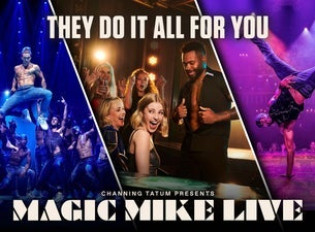 Magic Mike Live image