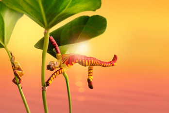 Cirque Du Soleil: Ovo image