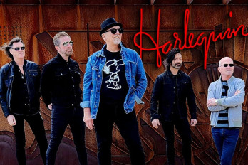 Harlequin - 50th Anniversary Show !