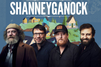 Shanneyganock image
