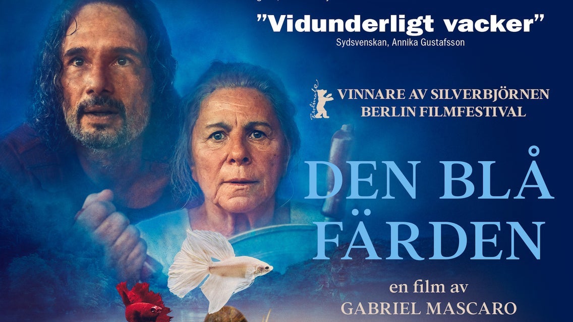 DEN BLÅ FÄRDEN