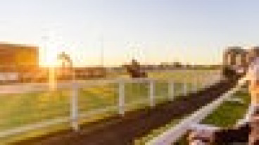 Cricks Highway Brisbane Mile Day - Winning Post Trackside Package