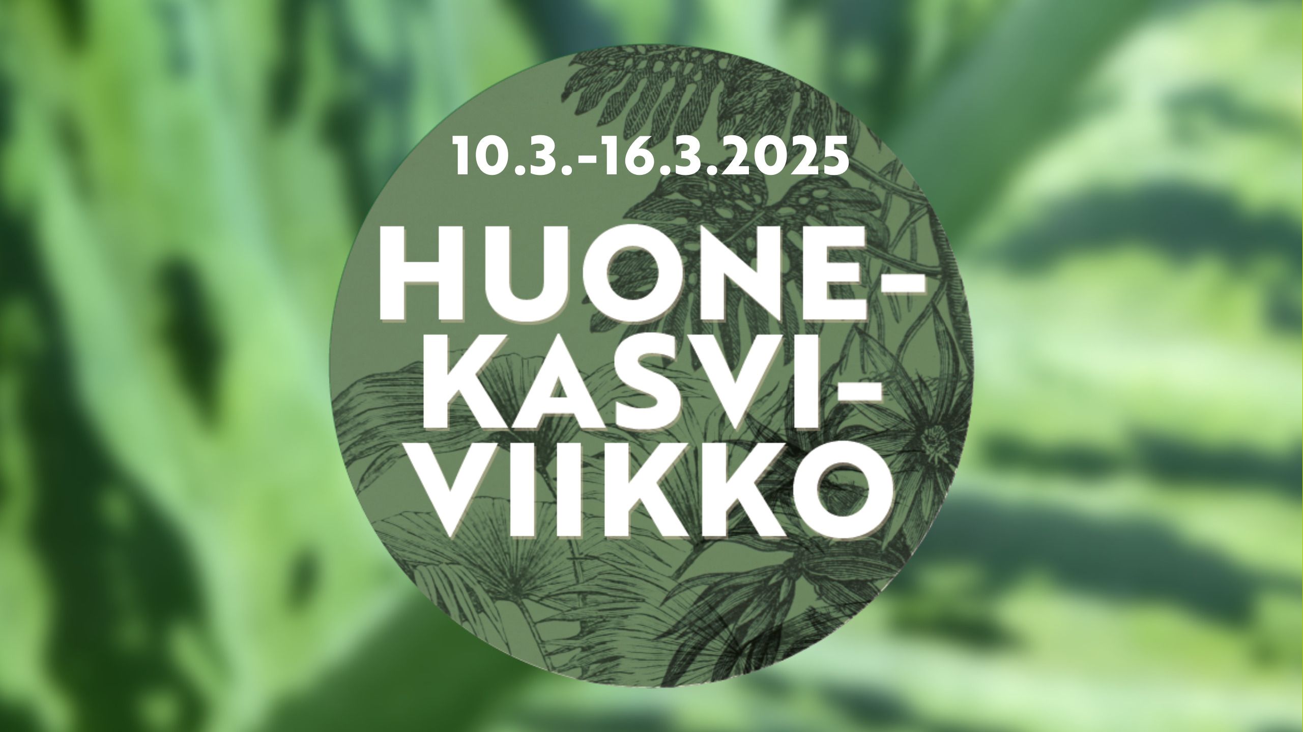 Huonekasvien huumaa â keskiviikkokierrokset