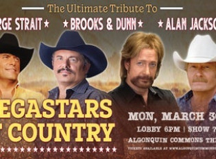 Megastars of Country Music