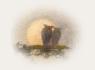 PAUL SIMON OFFICIAL VIP TICKET EXPERIENCES