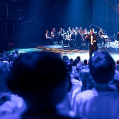 Poika joka katseli puiden latvoja