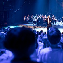 Poika joka katseli puiden latvoja