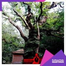 Mamia Company: PUNAINEN