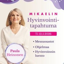 Kadonneen energisyyden metsästys - Paula Heinonen