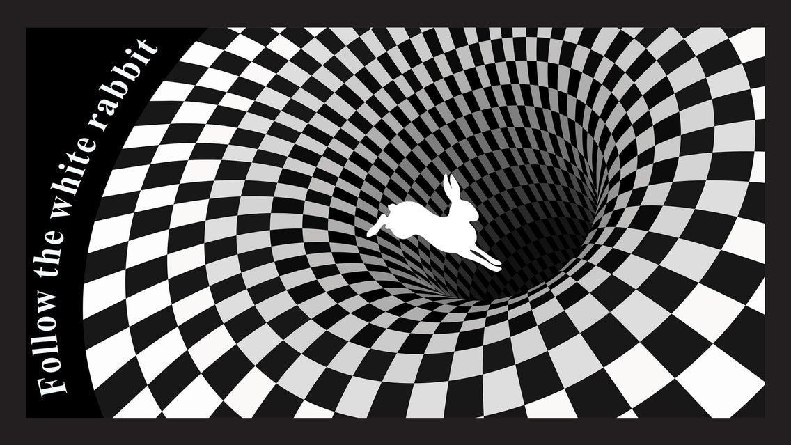 49. Down the Rabbithole...