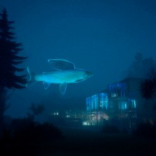 LEGEND OF HARRI KALA