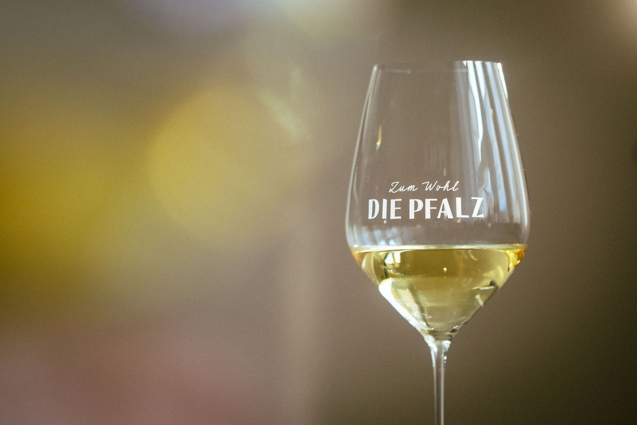 Wein am Dom I Samstag 18.04.2026