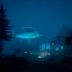 LEGEND OF HARRI KALA - K18