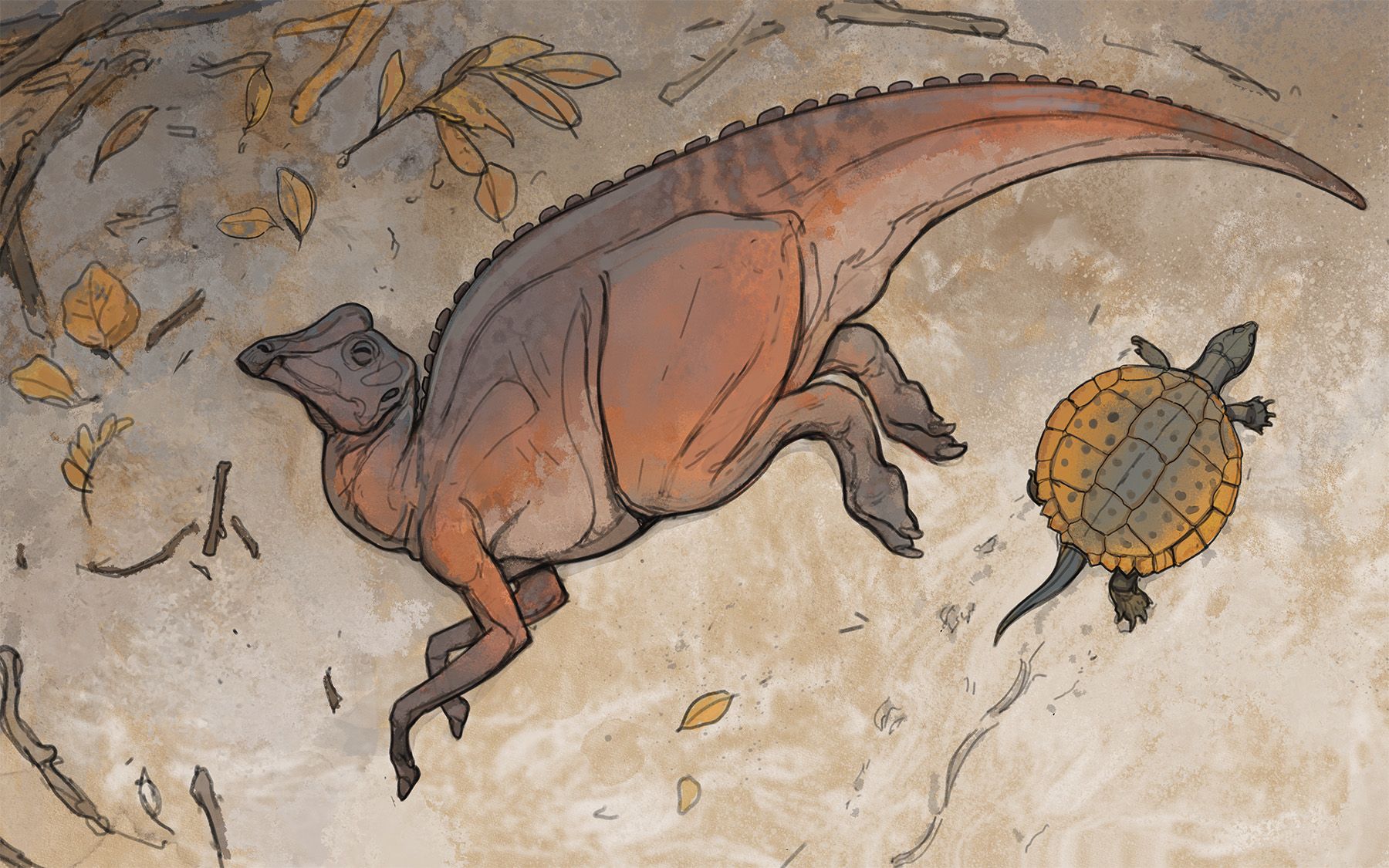 Ilta museossa: Dinosaurukset