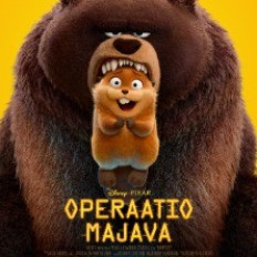 KINO HELIOS: Operaatio Majava image