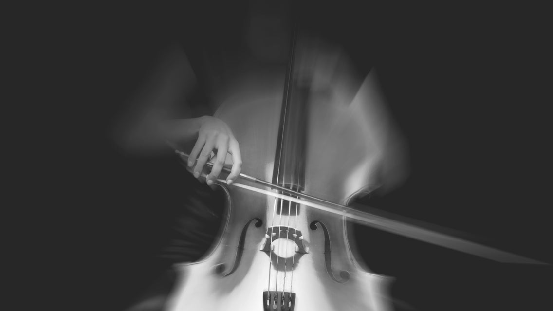 Auckland Philharmonia: Haydn & Shostakovich