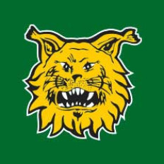 Kansallinen Liiga: Ilves - HJK image