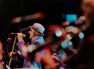 Van Morrison Lunch & Show