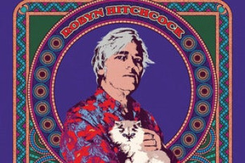 Robyn Hitchcock