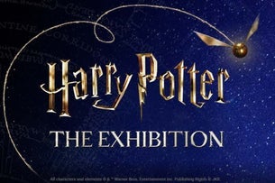Any Day Flexi Ticket - Harry Potter: The Exhibition