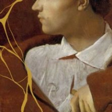 The Beauty of the Husband