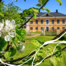 Kytömäki & Kleemola: Grand duo