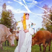 Vesta - Laulujen takana