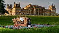 Fortnum & Mason Picnic Basket - Blenheim Palace - Teddy Swims