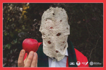 Delaney Davidson Baby Heavyweight Tour