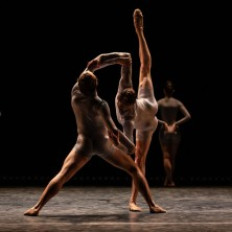 Kansallisbaletin nuorisoryhmä: Flight