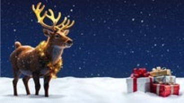 Frosted - A Winter Spectacular