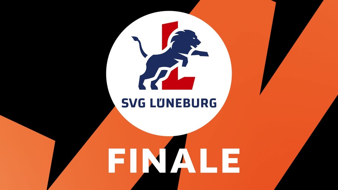 BR Volleys vs. SVG Lüneburg | Playoff-Finale