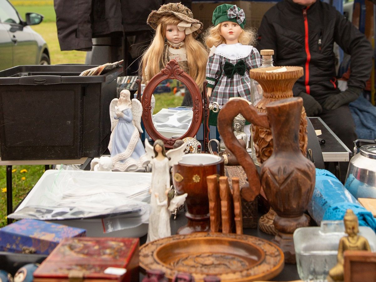 Helatorstain takakonttikirppis