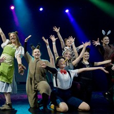 Skene- musiikkiteatterikoulun kevätfestarit 2026