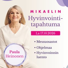 Kadonneen energisyyden metsästys - Paula Heinonen