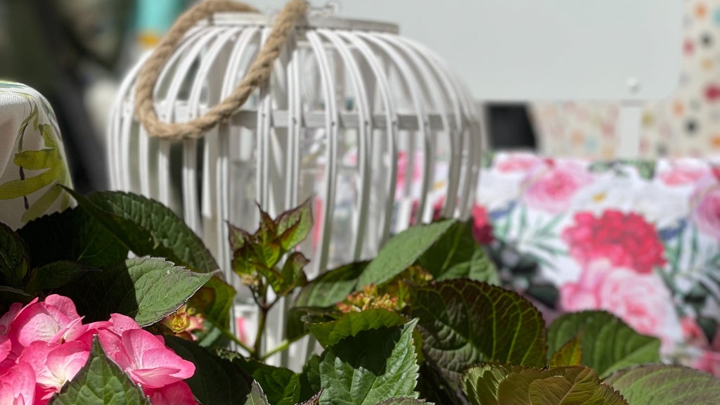 Landpartie "Sommer an der Gate" - (Dauerkarte 06. & 07.06.)