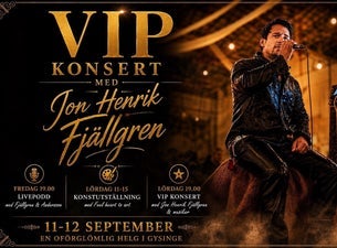 VIP konsert - Jon Henrik Fjällgren