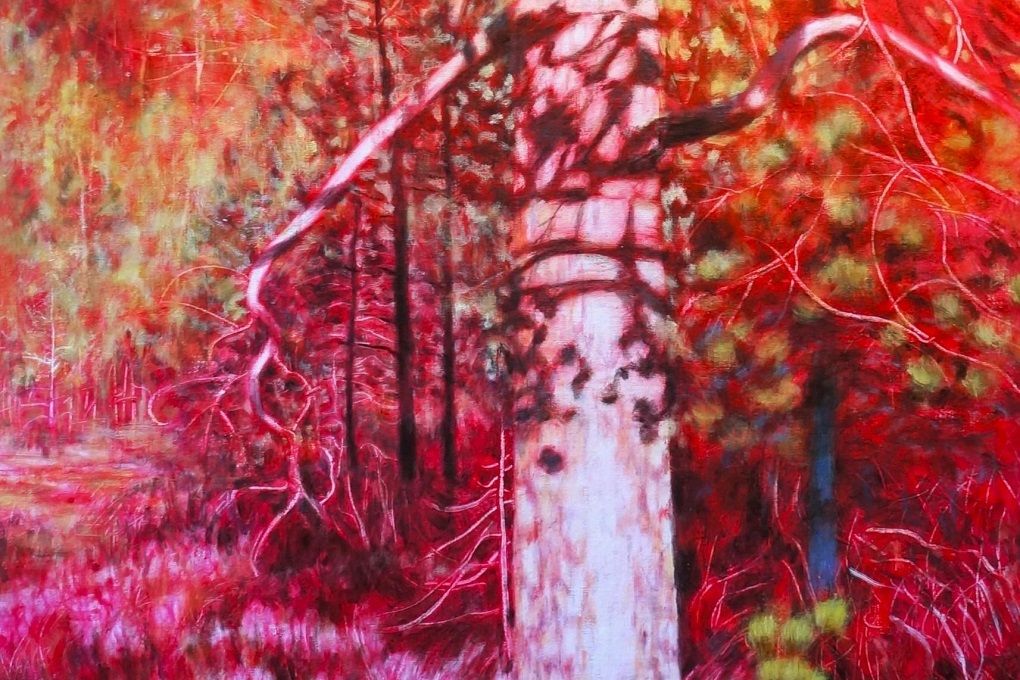 Aulagalleria: Jamie Ranta â Virtauksia