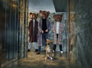 TEDDYBEARS
