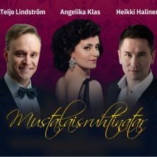 Mustalaisruhtinatar -operetti
