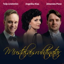 Mustalaisruhtinatar -operetti