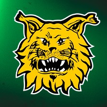 Ilves kausikortit 2026-2027