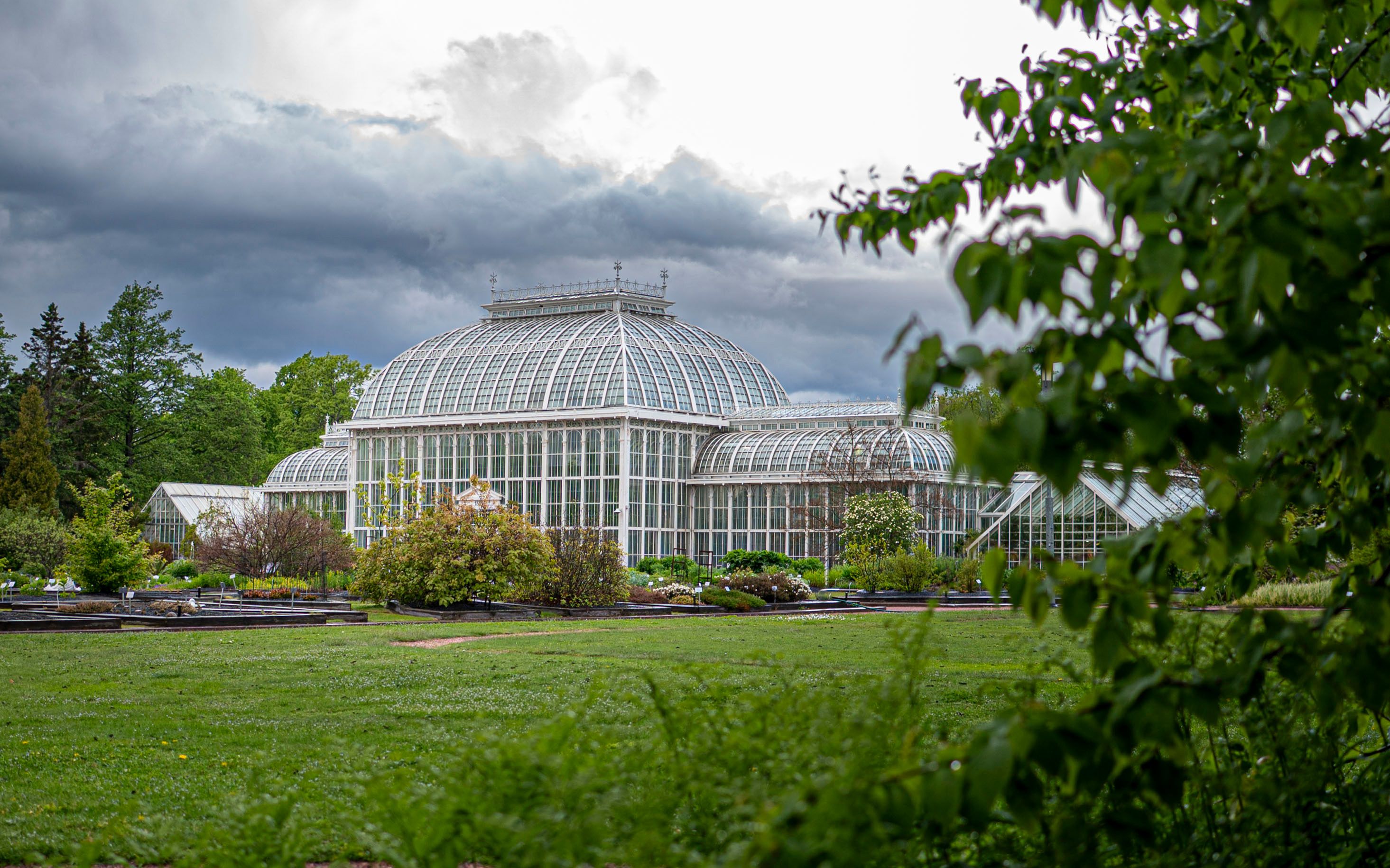 Arboretum-opastus