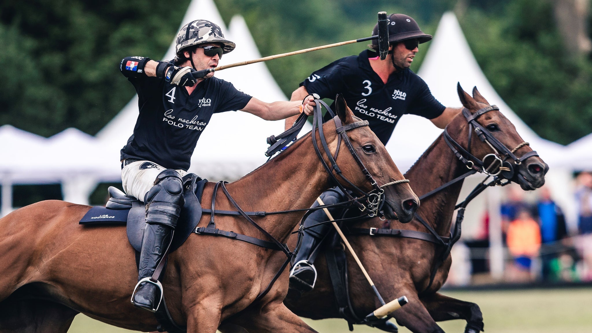 Polopicknick 2026 - Sonntagsticket