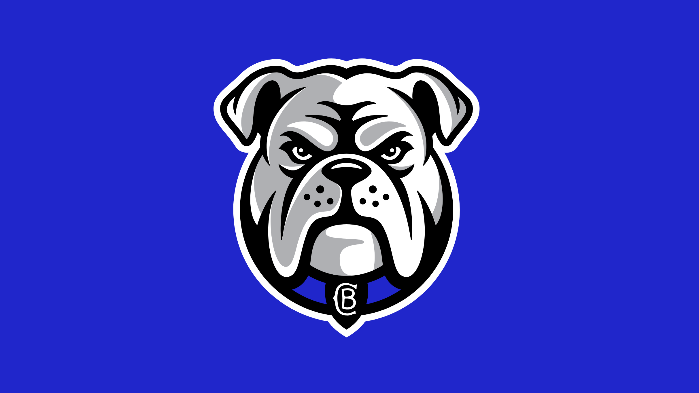 2026 NRL Telstra Premiership Bulldogs v Warriors (Round 21)
