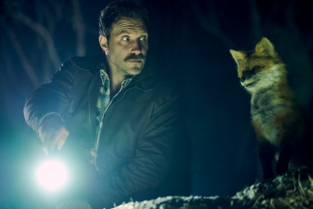 The Fox