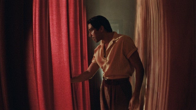 Narciso